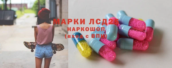 сатива Арсеньев