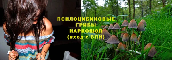 spice Балабаново