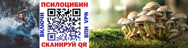 Псилоцибиновые грибы мицелий  Фатеж 
